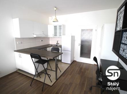 Pronájem bytu, 1+kk, 43 m²