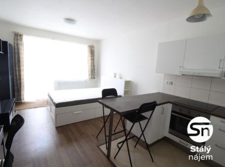 Pronájem bytu, 1+kk, 43 m²