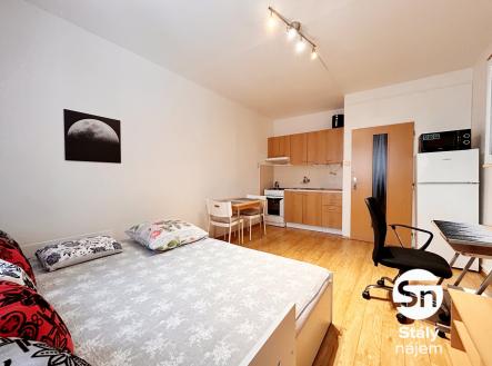 Pronájem bytu, 1+kk, 24 m²