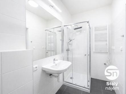 Pronájem bytu, 1+kk, 28 m²