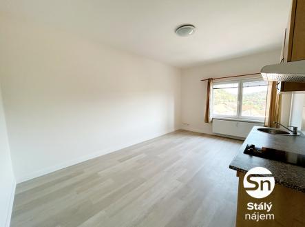 Pronájem bytu, 1+kk, 28 m²