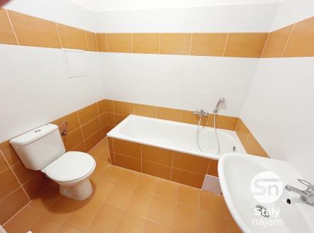 Pronájem bytu, 1+kk, 28 m²