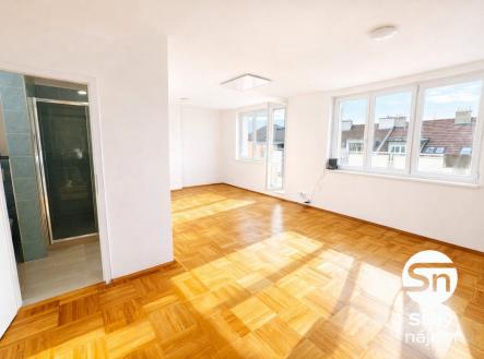 Pronájem bytu, 1+kk, 47 m²