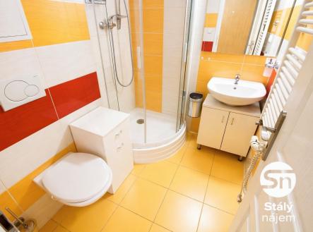 Pronájem bytu, 1+kk, 30 m² obrázek