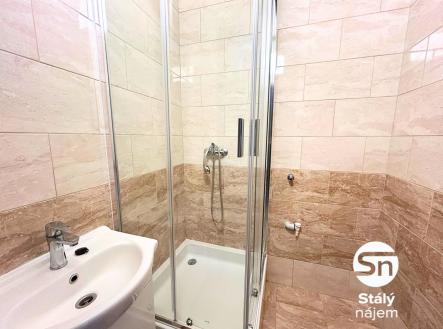 Pronájem bytu, 2+1, 52 m²