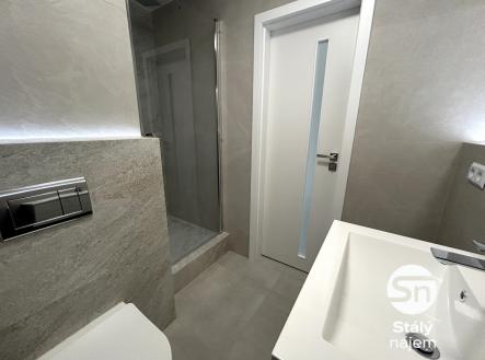 Pronájem bytu, 2+kk, 49 m²