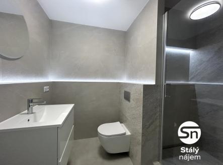 Pronájem bytu, 2+kk, 49 m²