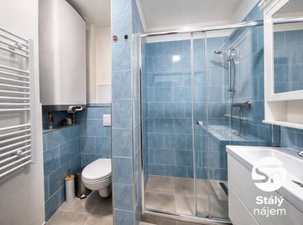 Pronájem bytu, 1+kk, 47 m²