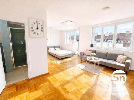 Pronájem bytu, 1+kk, 47 m²