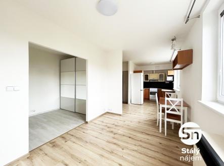 Pronájem bytu, 1+kk, 45 m²