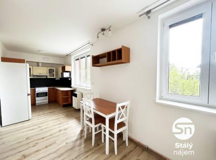 Pronájem bytu, 1+kk, 45 m²
