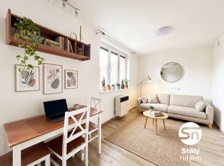 Pronájem bytu, 1+kk, 45 m² obrázek