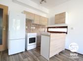 Pronájem bytu, 1+kk, 42 m²
