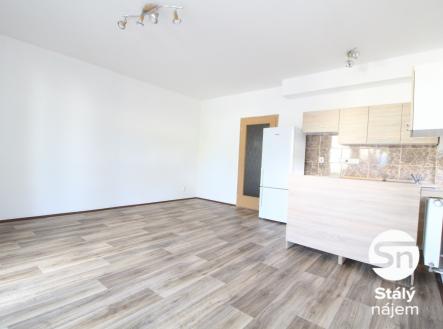 Pronájem bytu, 1+kk, 42 m²