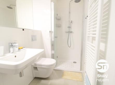 Pronájem bytu, 1+kk, 20 m²