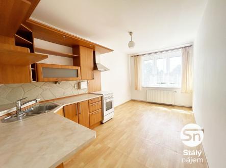 Pronájem bytu, 1+1, 50 m²