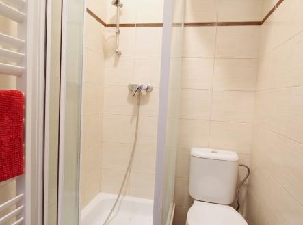 Pronájem bytu, 1+1, 37 m²