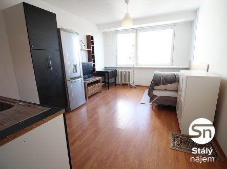 Pronájem bytu, 1+kk, 21 m²