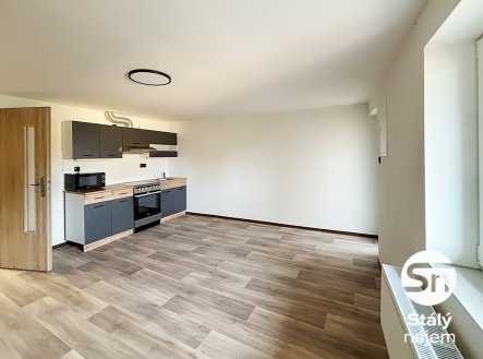 Pronájem bytu, 1+kk, 56 m²