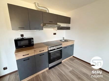 Pronájem bytu, 1+kk, 56 m²