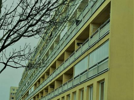 Pronájem bytu, 1+kk, 48 m² obrázek