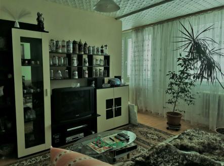 Pronájem bytu, 1+kk, 48 m²