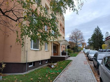 Prodej bytu, 1+kk, 27 m²