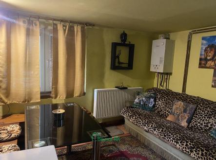 Pronájem domu/vily, 80 m²