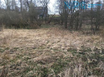 Prodej - pozemek, trvalý travní porost, 2 968 m²