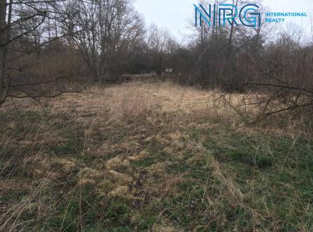 Prodej pozemku, trvalý travní porost, 2 968 m²