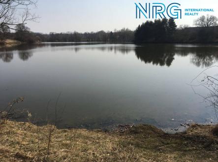 Prodej pozemku, trvalý travní porost, 2 968 m²