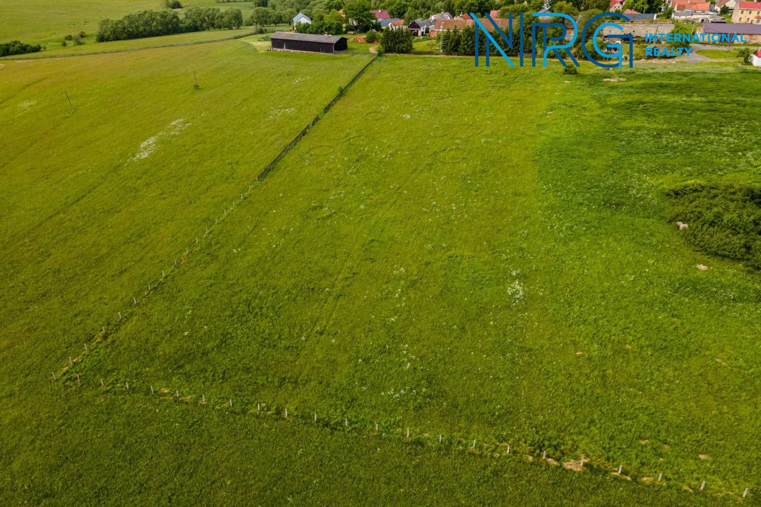 Prodej pozemek Louky, 12 123㎡|Tachov, Plzeňský kraj, Planá, Týnec u Plané, 348 15