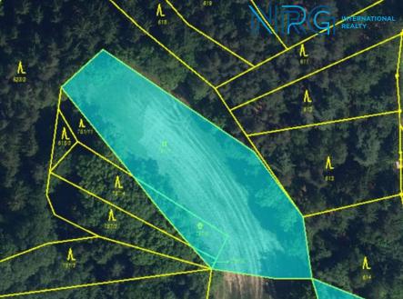 Prodej pozemku, zemědělská půda, 3 438 m²