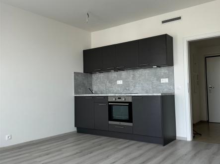 Pronájem bytu, 1+kk, 28 m²