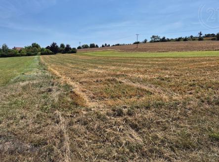 Prodej - pozemek, zemědělská půda, 4 261 m²