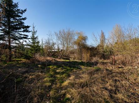 Prodej - pozemek, zahrada, 2 421 m²
