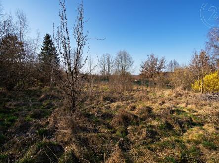 Prodej - pozemek, zahrada, 2 421 m²