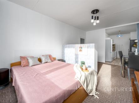 Prodej bytu, 2+kk, 56 m²