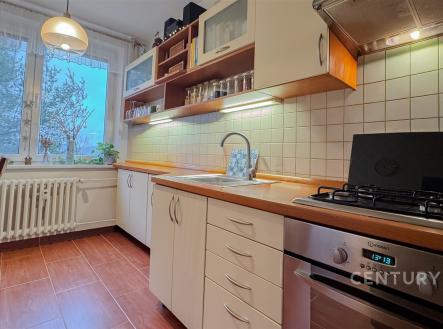 Prodej bytu, 3+1, 73 m²