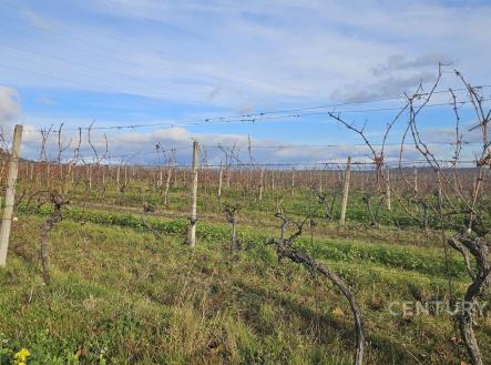 Prodej pozemku, ostatní, 20 906 m²