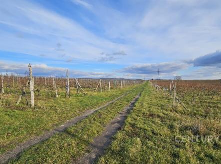 Prodej pozemku, ostatní, 20 906 m²