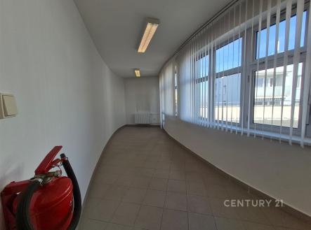 Pronájem kanceláře, 30 m²