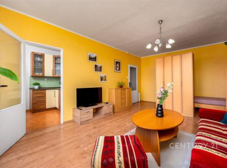 Prodej bytu, 1+1, 33 m²