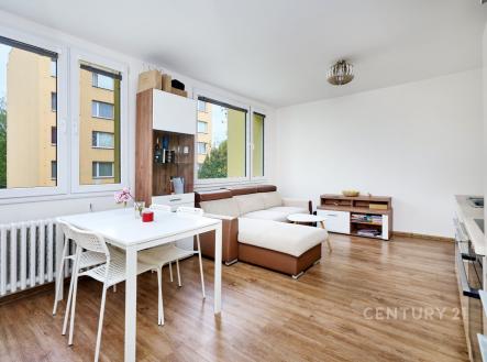 Pronájem bytu, 1+kk, 36 m²