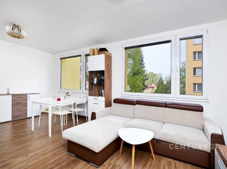 Pronájem bytu, 1+kk, 36 m²