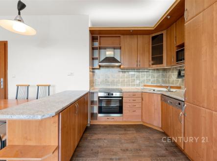 Pronájem bytu, 3+kk, 74 m²