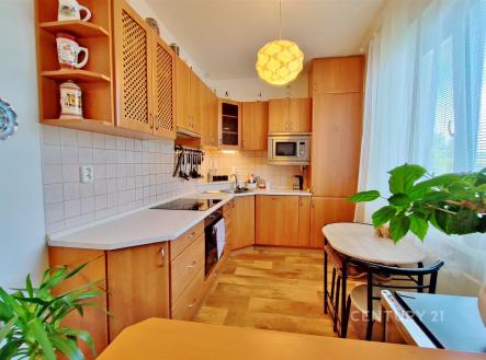 Pronájem bytu, 2+kk, 53 m²