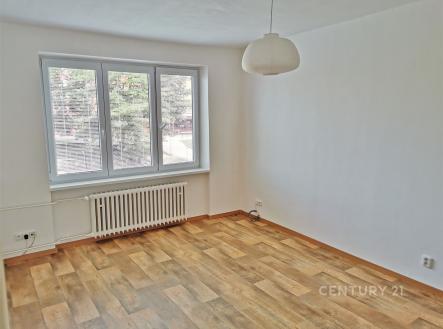 Pronájem bytu, 2+kk, 53 m²