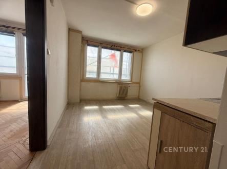 Pronájem bytu, 2+kk, 37 m²