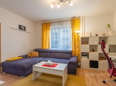 Prodej bytu, 3+1, 56 m²